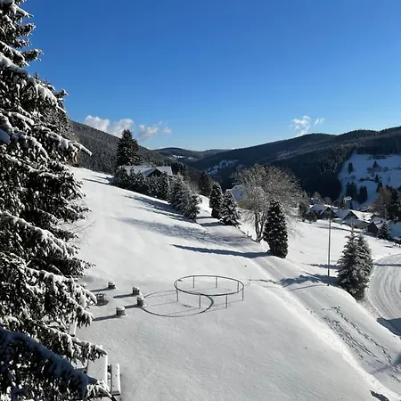Hotel Devin 3*