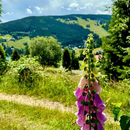 Děvín Hotel Pec pod Sněžkou