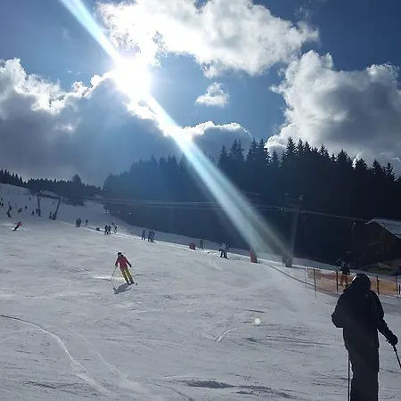 Děvín