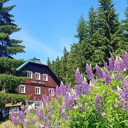 Děvín Hotel 3*