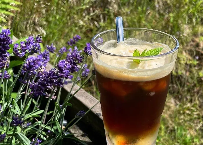 Devin 3* Pec pod Snezkou