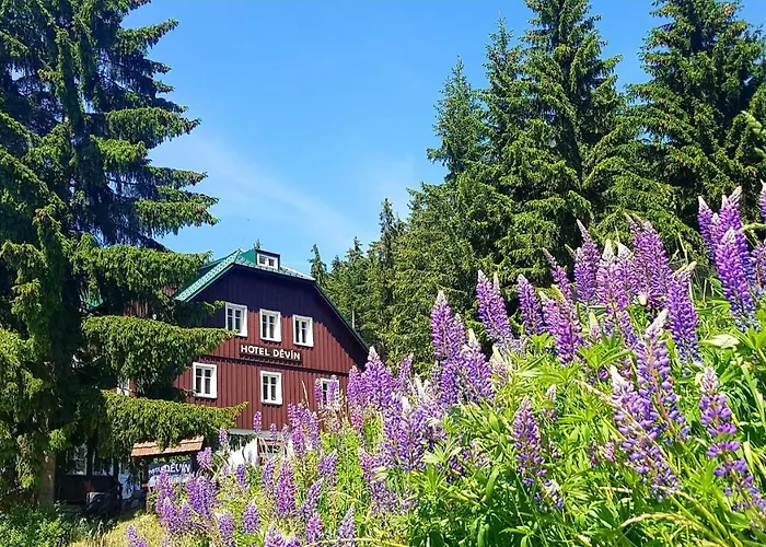 Devin Hotell 3*