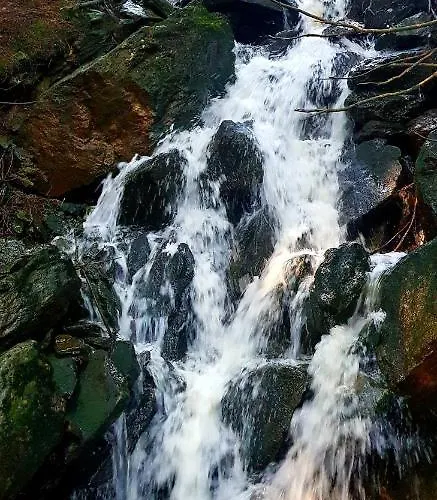 מלון Devin פק פוד סנז'קו